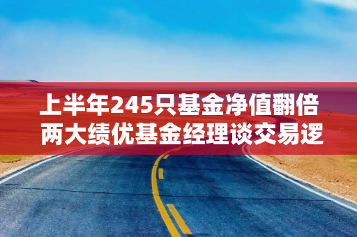 上半年245只基金净值翻倍 两大绩优基金经理谈交易逻辑