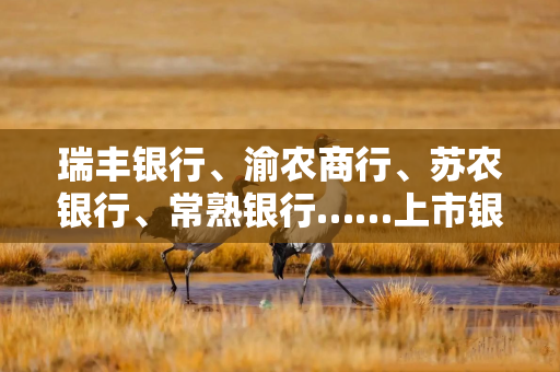 瑞丰银行、渝农商行、苏农银行、常熟银行……上市银行再迎高管“组团”增持潮