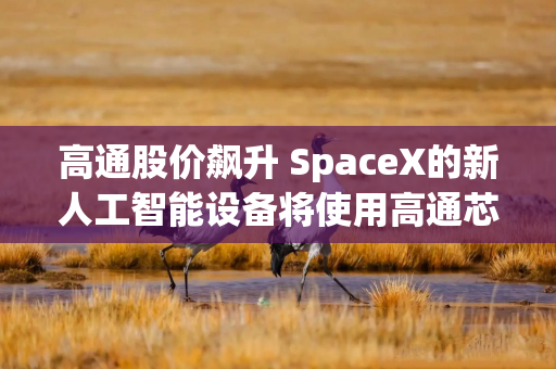 高通股价飙升 SpaceX的新人工智能设备将使用高通芯片