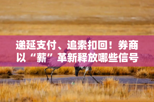 递延支付、追索扣回！券商以“薪”革新释放哪些信号？