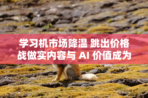 学习机市场降温 跳出价格战做实内容与 AI 价值成为行业解法