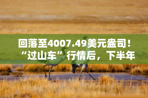 回落至4007.49美元盎司！“过山车”行情后，下半年金价如何表现？