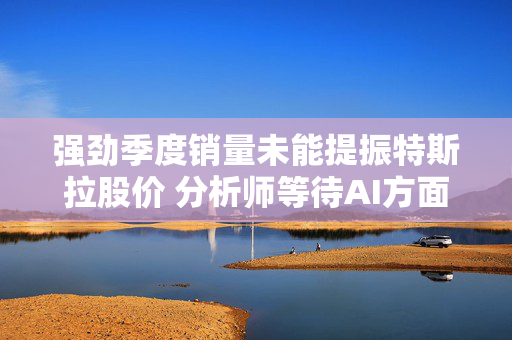 强劲季度销量未能提振特斯拉股价 分析师等待AI方面有更多进展