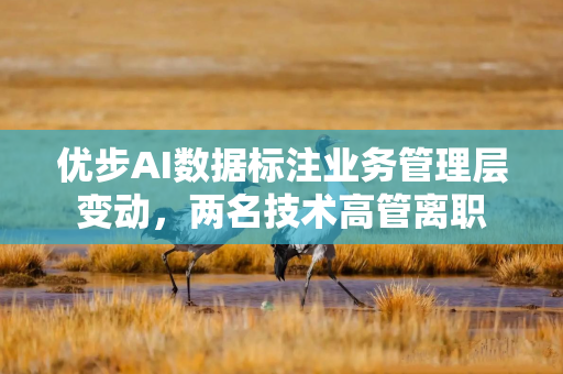 优步AI数据标注业务管理层变动，两名技术高管离职