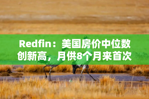 Redfin：美国房价中位数创新高，月供8个月来首次同比上涨