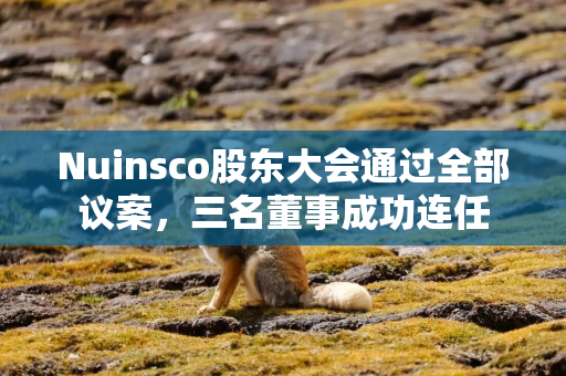 Nuinsco股东大会通过全部议案,三名董事成功连任 Nuinsco股东大会通过全部议案,三名董事成功连任