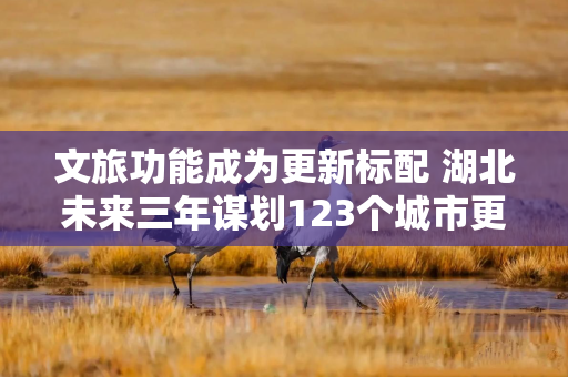 文旅功能成为更新标配 湖北未来三年谋划123个城市更新重点片区