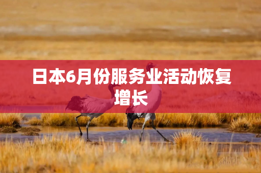 日本6月份服务业活动恢复增长