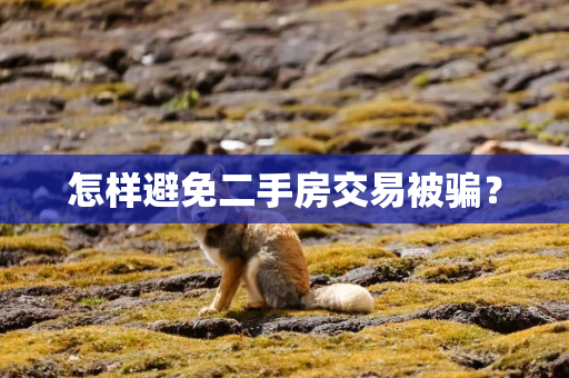怎样避免二手房交易被骗？