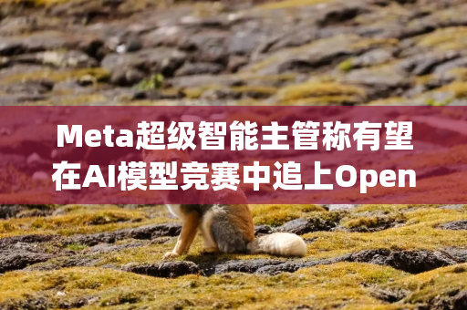 Meta超级智能主管称有望在AI模型竞赛中追上OpenAI