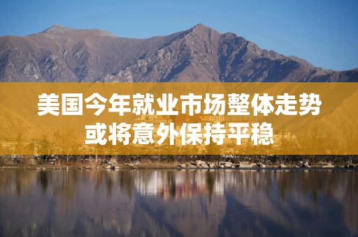 美国今年就业市场整体走势或将意外保持平稳