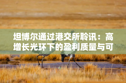 坦博尔通过港交所聆讯：高增长光环下的盈利质量与可持续性之问