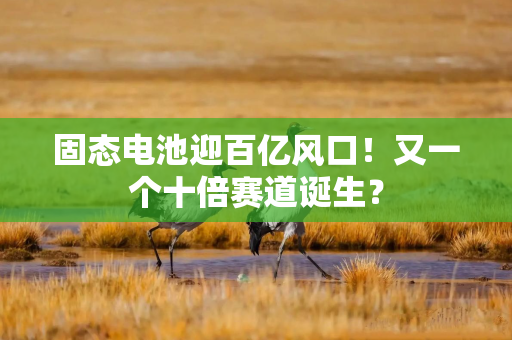 固态电池迎百亿风口!又一个十倍赛道诞生? 固态电池迎百亿风口!又一个十倍赛道诞生?