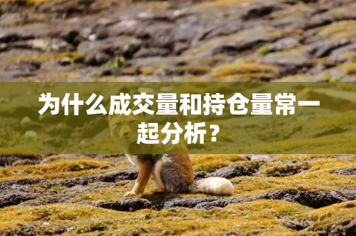 为什么成交量和持仓量常一起分析? 为什么成交量和持仓量常一起分析?