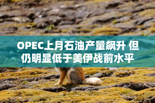 OPEC上月石油产量飙升 但仍明显低于美伊战前水平