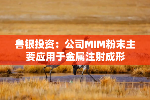 鲁银投资:公司MIM粉末主要应用于金属注射成形 鲁银投资:公司MIM粉末主要应用于金属注射成形