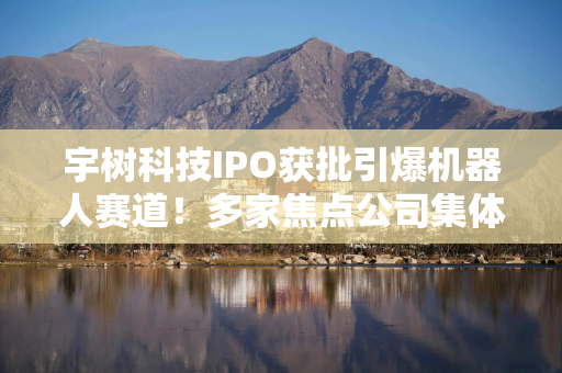 宇树科技IPO获批引爆机器人赛道！多家焦点公司集体提示风险：有的相关收入不足1万元，有的直言“无相关研发”