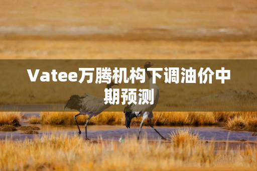 Vatee万腾机构下调油价中期预测