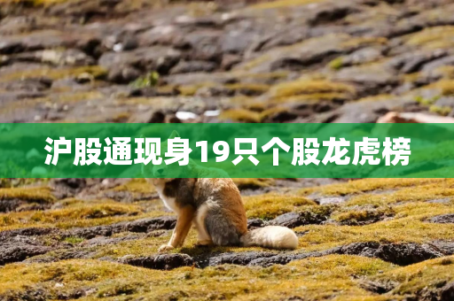 沪股通现身19只个股龙虎榜