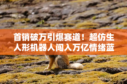 首销破万引爆赛道！超仿生人形机器人闯入万亿情绪蓝海，A 股核心标的全解析