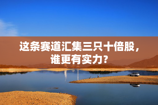这条赛道汇集三只十倍股，谁更有实力？