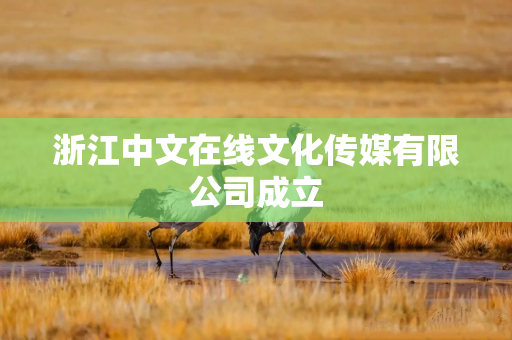 浙江中文在线文化传媒有限公司成立