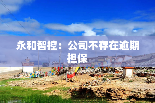 永和智控:公司不存在逾期担保 永和智控:公司不存在逾期担保