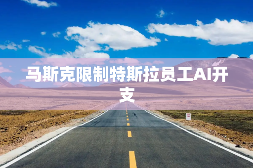 马斯克限制特斯拉员工AI开支