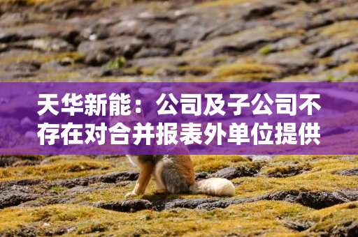 天华新能：公司及子公司不存在对合并报表外单位提供担保的情况