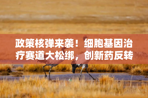 政策核弹来袭！细胞基因治疗赛道大松绑，创新药反转行情正式启动