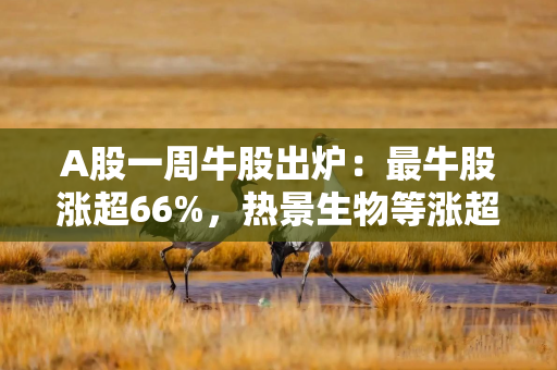 A股一周牛股出炉：最牛股涨超66%，热景生物等涨超60%