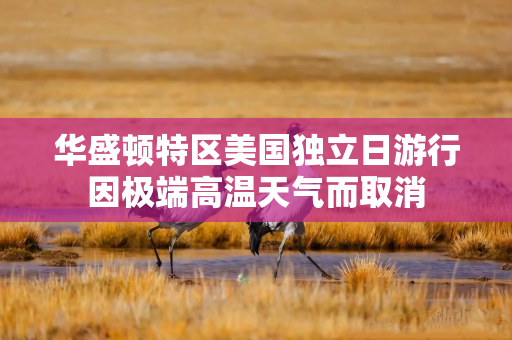 华盛顿特区美国独立日游行因极端高温天气而取消