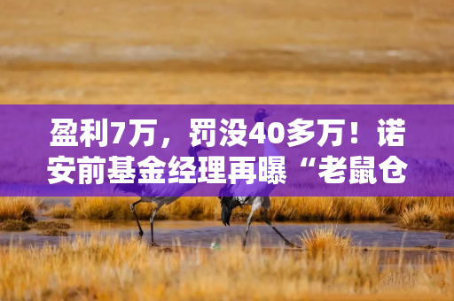 盈利7万，罚没40多万！诺安前基金经理再曝“老鼠仓”