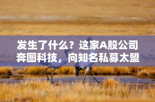 发生了什么？这家A股公司奔图科技，向知名私募太盟投资索赔近50亿元