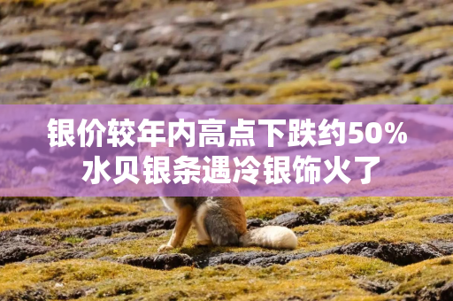 银价较年内高点下跌约50% 水贝银条遇冷银饰火了