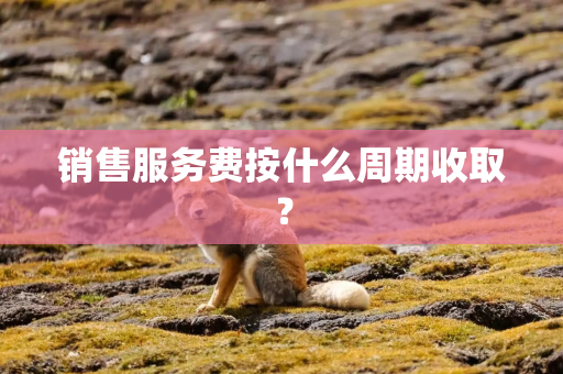 销售服务费按什么周期收取？