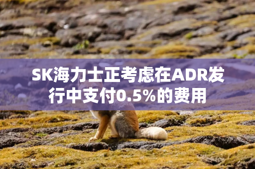 SK海力士正考虑在ADR发行中支付0.5%的费用