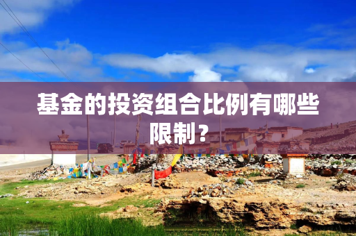 基金的投资组合比例有哪些限制？