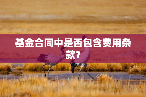 基金合同中是否包含费用条款？