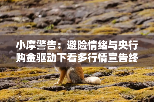 小摩警告：避险情绪与央行购金驱动下看多行情宣告终结！大幅下调年内金价预测