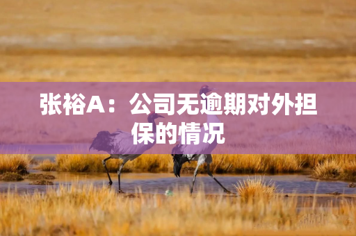 张裕A：公司无逾期对外担保的情况