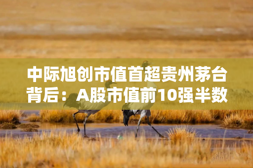中际旭创市值首超贵州茅台背后:A股市值前10强半数是科技股 中际旭创市值首超贵州茅台背后:A股市值前10强半数是科技股