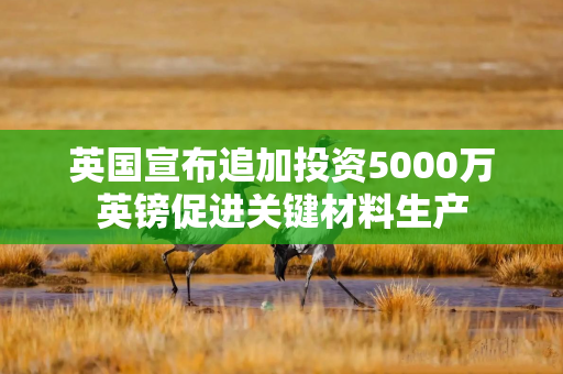 英国宣布追加投资5000万英镑促进关键材料生产