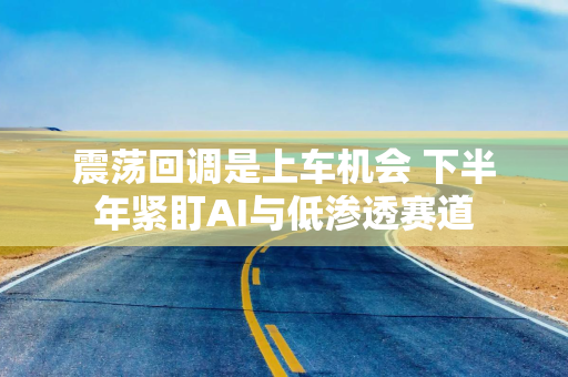 震荡回调是上车机会 下半年紧盯AI与低渗透赛道