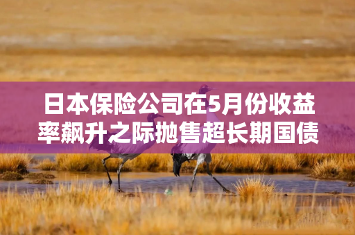 日本保险公司在5月份收益率飙升之际抛售超长期国债