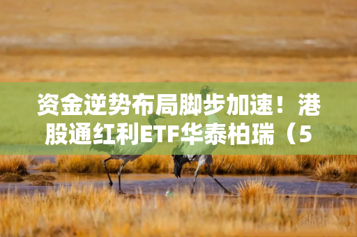 资金逆势布局脚步加速！港股通红利ETF华泰柏瑞（513530）连续9个交易日获资金净流入
