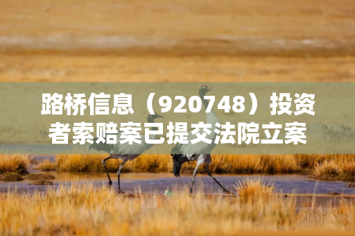 路桥信息（920748）投资者索赔案已提交法院立案