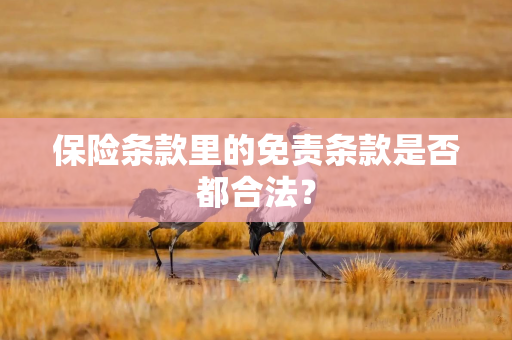 保险条款里的免责条款是否都合法? 保险条款里的免责条款是否都合法?