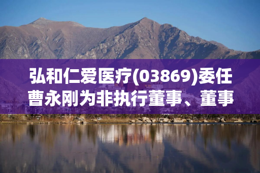 弘和仁爱医疗(03869)委任曹永刚为非执行董事、董事会主席