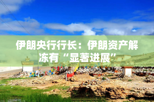 伊朗央行行长：伊朗资产解冻有“显著进展”